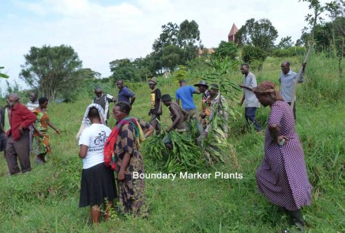 marking the site boundary