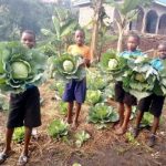 school vegetable garden