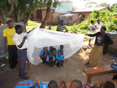 mosquito net training at school