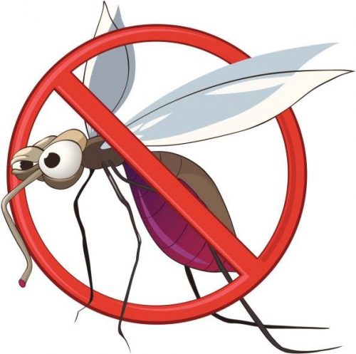 stop malaria