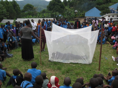 mosquito net training