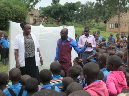 mosquito net training