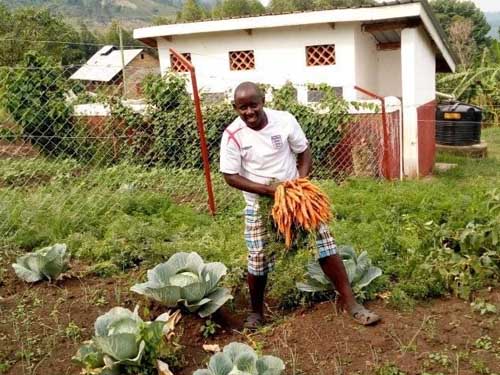 Uphill vegetable