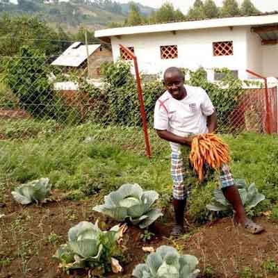 school vegetable garden