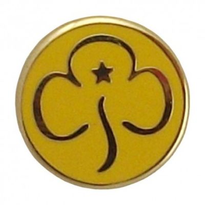 brownie badge