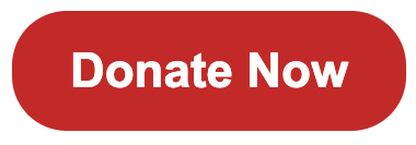 donate now button