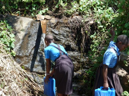 Pupils collecting water