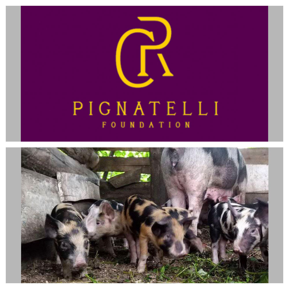 Pignatelli Foundation Grant