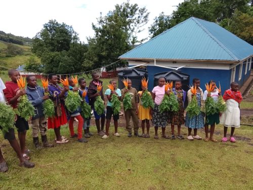 uphill junior school gardening club